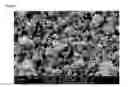 Fig. 09 - Composite filler particles and process for the preparation thereof