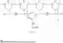 Fig. 19 - FLEXIBLE TUBE FOR ENDOSCOPES AND METHOD FOR PRODUCING SAME