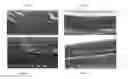 Fig. 05 - Coatings containing polymer modified enzyme for stable self-cleaning of organic stains