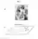 Fig. 02 - Methods of manufacturing abrasive particle and polishing slurry