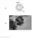 Fig. 06 - Methods of manufacturing abrasive particle and polishing slurry