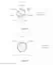 Fig. 05 - METHODS FOR THE IMPROVEMENT OF ORGANOLEPTIC PROPERTIES OF MUST, NON-FERMENTED AND FERMENTED BEVERAGES