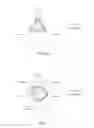 Fig. 06 - METHODS FOR THE IMPROVEMENT OF ORGANOLEPTIC PROPERTIES OF MUST, NON-FERMENTED AND FERMENTED BEVERAGES
