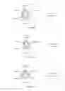 Fig. 08 - METHODS FOR THE IMPROVEMENT OF ORGANOLEPTIC PROPERTIES OF MUST, NON-FERMENTED AND FERMENTED BEVERAGES