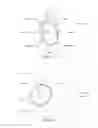 Fig. 11 - METHODS FOR THE IMPROVEMENT OF ORGANOLEPTIC PROPERTIES OF MUST, NON-FERMENTED AND FERMENTED BEVERAGES