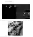Fig. 07 - METHOD FOR FABRICATING A CELL-LADEN HYDROGEL CONSTRUCT