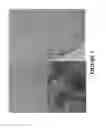 Fig. 06 - METHODS AND COMBINATION COMPRISING EUKARYOTIC CELLS AND RECOMBINANT SPIDER SILK PROTEIN