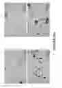 Fig. 31 - METHODS AND COMBINATION COMPRISING EUKARYOTIC CELLS AND RECOMBINANT SPIDER SILK PROTEIN