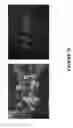 Fig. 34 - METHODS AND COMBINATION COMPRISING EUKARYOTIC CELLS AND RECOMBINANT SPIDER SILK PROTEIN