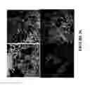 Fig. 41 - METHODS AND COMBINATION COMPRISING EUKARYOTIC CELLS AND RECOMBINANT SPIDER SILK PROTEIN