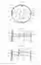 Fig. 14 - Cell culture methods and devices utilizing gas permeable materials