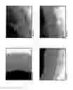 Fig. 04 - Isolation, cultivation and uses of stem/progenitor cells
