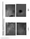 Fig. 10 - Isolation, cultivation and uses of stem/progenitor cells