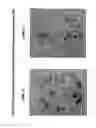 Fig. 11 - Isolation, cultivation and uses of stem/progenitor cells