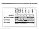 Fig. 13 - Isolation, cultivation and uses of stem/progenitor cells