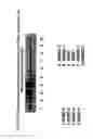 Fig. 22 - Isolation, cultivation and uses of stem/progenitor cells