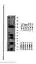 Fig. 30 - Isolation, cultivation and uses of stem/progenitor cells