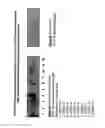 Fig. 40 - Isolation, cultivation and uses of stem/progenitor cells