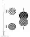 Fig. 64 - Isolation, cultivation and uses of stem/progenitor cells