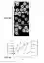 Fig. 07 - Method for stem cell culture and cells derived therefrom