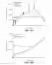 Fig. 16 - Method for stem cell culture and cells derived therefrom
