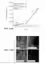Fig. 17 - Method for stem cell culture and cells derived therefrom