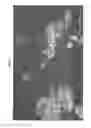 Fig. 02 - Somatic stem cells