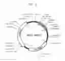 Fig. 05 - Genetically engineered and acid-resistant yeast cell with enhanced activity of radiation sensitivity complementing kinase and method of producing lactate by using the yeast cell