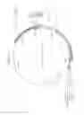 Fig. 06 - Genetically engineered and acid-resistant yeast cell with enhanced activity of radiation sensitivity complementing kinase and method of producing lactate by using the yeast cell