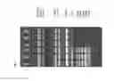 Fig. 09 - Method for separating DNA by size