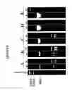 Fig. 05 - COMPOSITIONS AND METHODS FOR ENHANCED SENSITIVITY AND SPECIFICITY OF NUCLEIC ACID SYNTHESIS