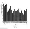 Fig. 03 - LNA antisense oligonucleotides for the modulation of Myc expression