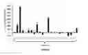 Fig. 08 - LNA antisense oligonucleotides for the modulation of Myc expression
