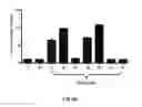 Fig. 09 - LNA antisense oligonucleotides for the modulation of Myc expression