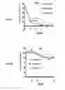 Fig. 14 - LNA antisense oligonucleotides for the modulation of Myc expression