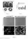 Fig. 14 - Methods for including cardiomyocyte proliferation
