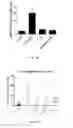Fig. 25 - Methods for including cardiomyocyte proliferation