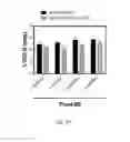 Fig. 28 - Methods for including cardiomyocyte proliferation