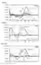 Fig. 06 - Method for identifying biologically active oligonucleotides capable of modulating the immune system