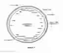 Fig. 04 - Methods For Enhancing Segregation of Transgenes in Plants and Compositions Thereof