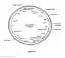 Fig. 05 - Methods For Enhancing Segregation of Transgenes in Plants and Compositions Thereof