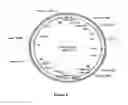 Fig. 06 - Methods For Enhancing Segregation of Transgenes in Plants and Compositions Thereof