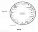 Fig. 09 - Methods For Enhancing Segregation of Transgenes in Plants and Compositions Thereof