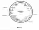 Fig. 10 - Methods For Enhancing Segregation of Transgenes in Plants and Compositions Thereof