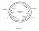 Fig. 11 - Methods For Enhancing Segregation of Transgenes in Plants and Compositions Thereof