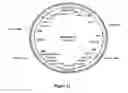 Fig. 12 - Methods For Enhancing Segregation of Transgenes in Plants and Compositions Thereof