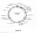 Fig. 16 - Methods For Enhancing Segregation of Transgenes in Plants and Compositions Thereof