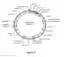 Fig. 18 - Methods For Enhancing Segregation of Transgenes in Plants and Compositions Thereof