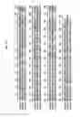 Fig. 11 - REVERSE GENETICS USING NON-ENDOGENOUS POL I PROMOTERS