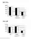 Fig. 13 - REVERSE GENETICS USING NON-ENDOGENOUS POL I PROMOTERS